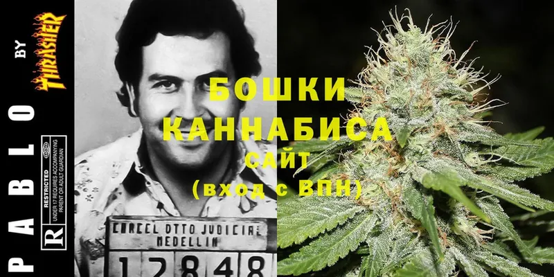 купить наркотик  Трубчевск  Конопля LSD WEED 